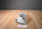 Ty Buddies and Babies Hopper Grey Bunny Rabbit Beanbag Plush