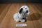 Ty Classic Tundra White Bengal Tiger 2015 Beanbag Plush
