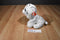 Ty Classic Tundra White Bengal Tiger 2015 Beanbag Plush