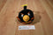 Commonwealth Rovio Angry Birds Space Talking Firebomb 2012 Plush