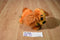 Disney Parks Lady Beanbag Plush