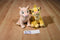 Disney Store Lion King Simba Beanbag Plush and Nala Plush
