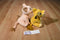 Disney Store Lion King Simba Beanbag Plush and Nala Plush