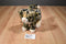 Douglas Tashette Bengal Cat Plush