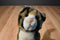 Douglas Tashette Bengal Cat Plush