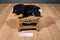 Walmart Black and Tan Rottweiler Puppy Dog Beanbag Plush