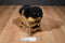 Walmart Black and Tan Rottweiler Puppy Dog Beanbag Plush