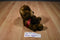 Russ Brandwell Brown Teddy Bear Beanbag Plush