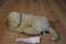 Kimberly-Clark Cottonelle Toilet Paper Yellow Lab Puppy Plush
