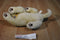 Kimberly-Clark Cottonelle Toilet Paper Yellow Lab Puppy Plush