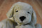 Kimberly-Clark Cottonelle Toilet Paper Yellow Lab Puppy Plush
