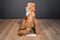 Target Brown and White Long Legged Hugging Monkey Beanbag Plush