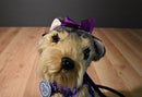 Poochie & Co. Beige and Gray Yorkshire Terrier in Purple Sequins Bag/Purse