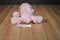 Mary Meyer Sweet Rascals Penelope Pink Poodle Beanbag Plush