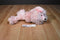 Mary Meyer Sweet Rascals Penelope Pink Poodle Beanbag Plush