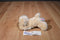 Aurora Yellow Lab Puppy Dog Beanbag Plush and Hardcover Book