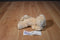 Aurora Yellow Lab Puppy Dog Beanbag Plush and Hardcover Book