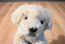 Aurora Yellow Lab Puppy Dog Beanbag Plush and Hardcover Book