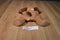 Ty Pillow Pals Woof the Brown Dog 1994 Plush