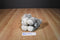 Russ Schnapps Schnauzer Plush