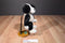 Boyd's Bears Philo Puddlemaker Black and Beige Dog 2000 Beanbag Plush