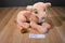 Disney World Lion King Nala Plush