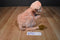 Disney World Lion King Nala Plush