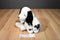 Russ Donatella Dalmatian Wearing a Fur Coat Beanbag Plush