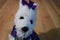 Poochie and Co. Westie Purple Sequins Plush Bag Purse