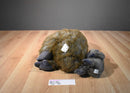 Applause Dakin Baboon Mother and Baby Plush