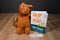 Kohl's Cares Dr. Seuss Hop On Pop Brown Bear Plush and Book