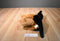 Jaag Scheels German Shepherd Puppy Dog 2016 Beanbag Plush
