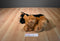 Jaag Scheels German Shepherd Puppy Dog 2016 Beanbag Plush