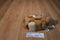Taggies Brown Monkey Soothing Sounds Plush