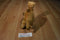 Douglas Lawrence Brown Dromedary Camel Beanbag Plush