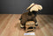 Wild Republic Moose 2014 Plush