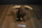 Wild Republic Moose 2014 Plush