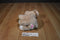Maurices Hope Tan Beige Dog with Red Striped Bone 2012 Beanbag Plush