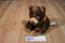 Disney Brother Bear Koda Beanbag Plush