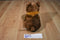 Disney Brother Bear Koda Beanbag Plush