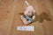 Walt Disney World Winnie the Pooh Piglet Beanbag Plush