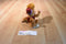 Disney Aladdin Abu the Monkey Beanbag Plush