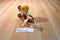 Disney Aladdin Abu the Monkey Beanbag Plush
