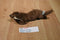 Wildlife Artists Conservation Critters River Otter Beanbag Plush