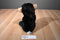 Wild Republic Baby Chimpanzee 2007 Beanbag Plush