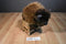 Wild Republic Minnesota Zoo Bison Buffalo 2012 Plush