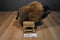 Wild Republic Minnesota Zoo Bison Buffalo 2012 Plush