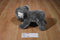 Aurora Gray and White Koala Bear Beanbag Plush