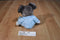 Disney Parks Baby Mickey Mouse Blue Rattle Plush