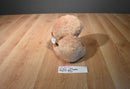 Ty Beanie Boos Tangerine Tan Monkey 2010 Beanbag Plush